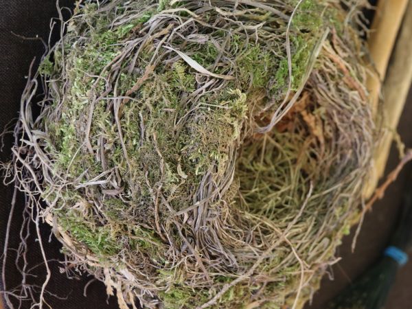 Impressionen vom KreisFamilienTag 2018 